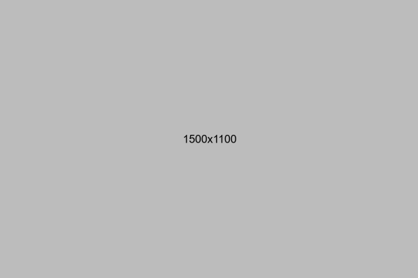 project-7-masonry y